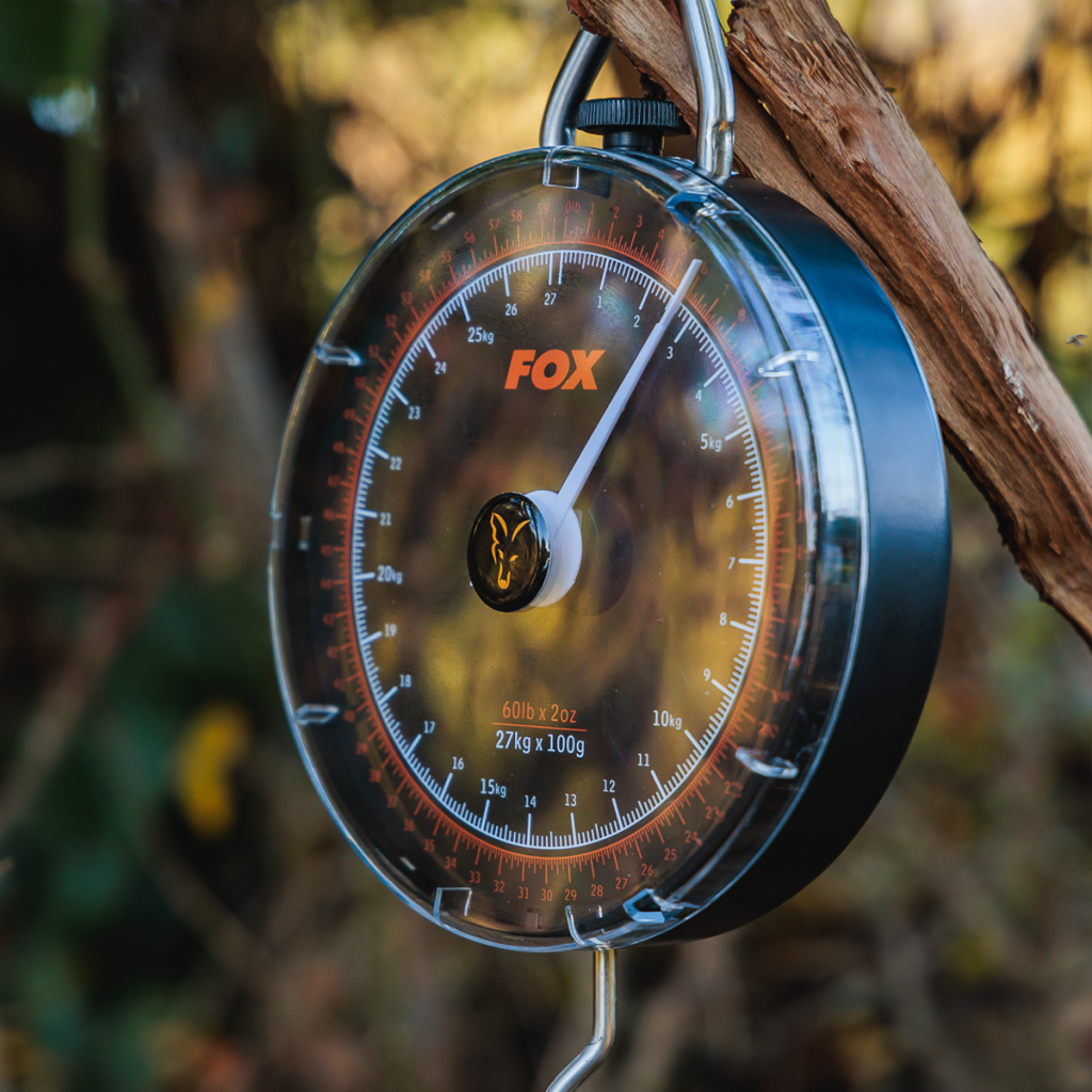 Fox Fishing Scales