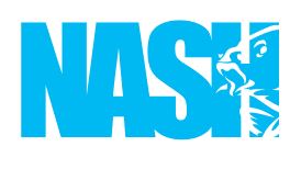 Nash logo alternative